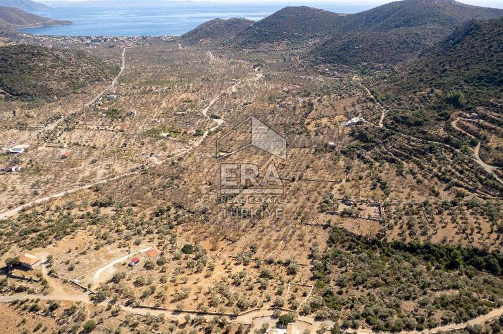  Datça Palamutbükü’nde 16.414 m2 Deniz Manzaralı İmarlı Arsa