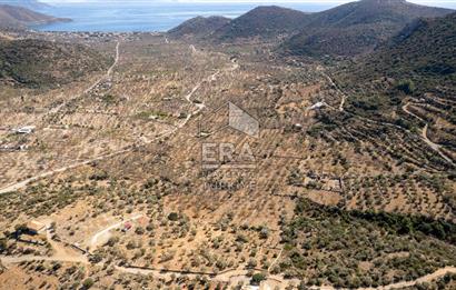  Datça Palamutbükü’nde 16.414 m2 Deniz Manzaralı İmarlı Arsa