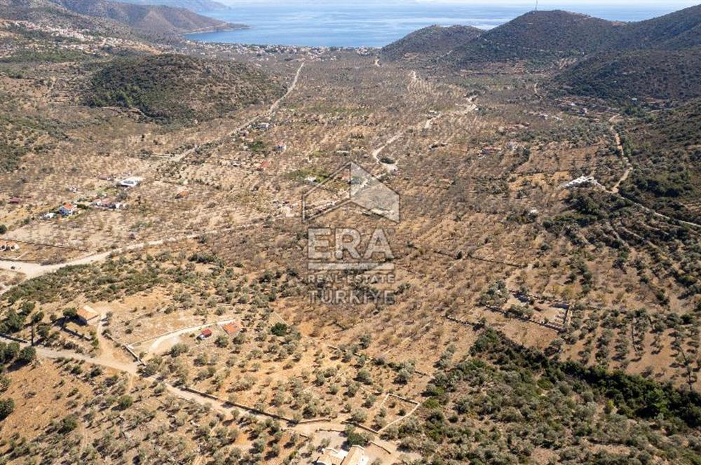  Datça Palamutbükü’nde 16.414 m2 Deniz Manzaralı İmarlı Arsa