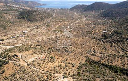  Datça Palamutbükü’nde 16.414 m2 Deniz Manzaralı İmarlı Arsa