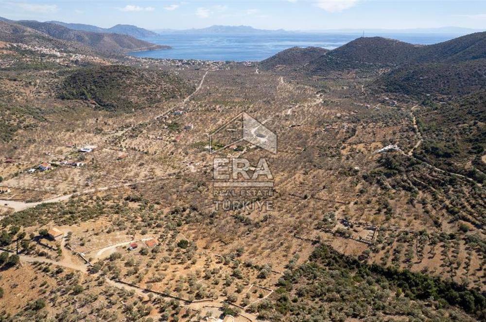  Datça Palamutbükü’nde 16.414 m2 Deniz Manzaralı İmarlı Arsa