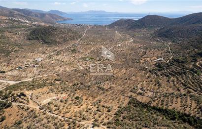  Datça Palamutbükü’nde 16.414 m2 Deniz Manzaralı İmarlı Arsa