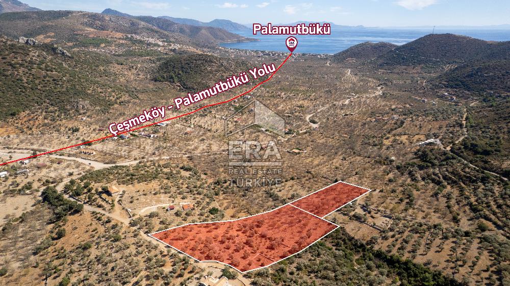  Datça Palamutbükü’nde 16.414 m2 Deniz Manzaralı İmarlı Arsa