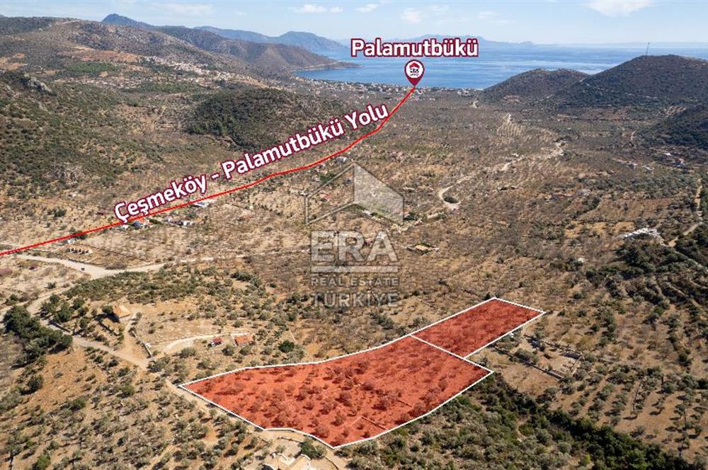  Datça Palamutbükü’nde 16.414 m2 Deniz Manzaralı İmarlı Arsa
