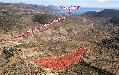  Datça Palamutbükü’nde 16.414 m2 Deniz Manzaralı İmarlı Arsa