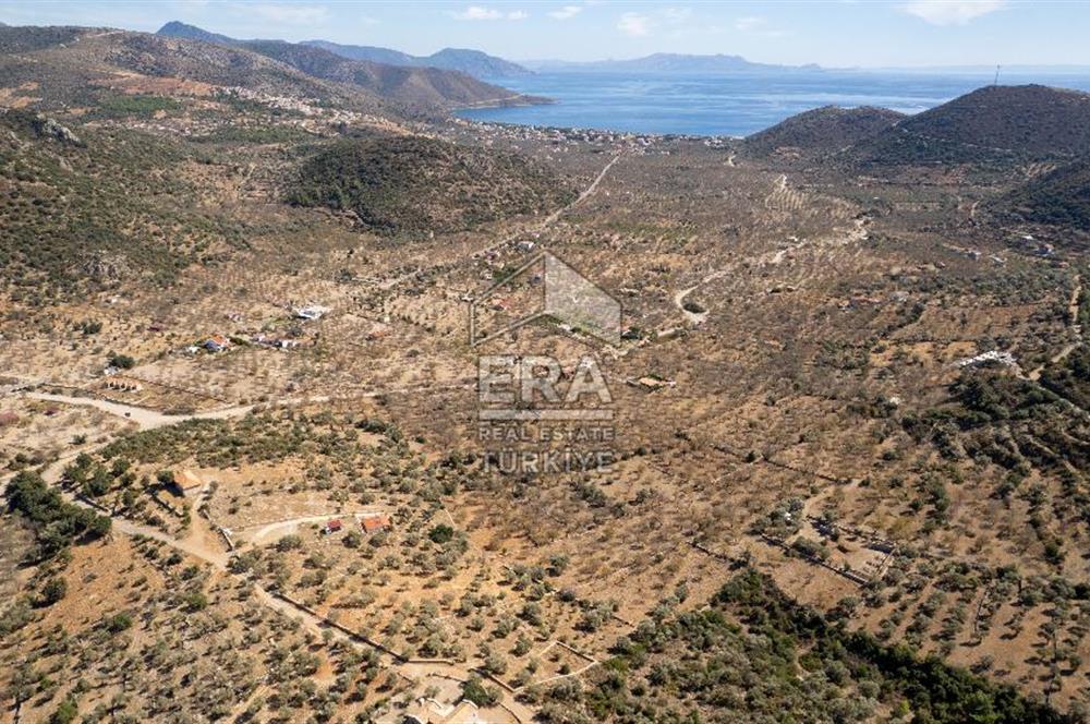  Datça Palamutbükü’nde 16.414 m2 Deniz Manzaralı İmarlı Arsa