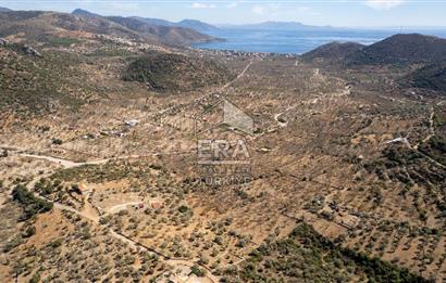  Datça Palamutbükü’nde 16.414 m2 Deniz Manzaralı İmarlı Arsa