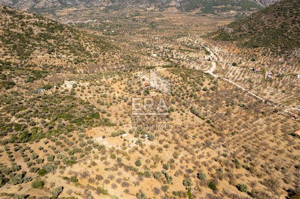  Datça Palamutbükü’nde 16.414 m2 Deniz Manzaralı İmarlı Arsa