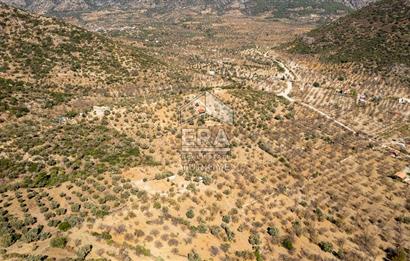  Datça Palamutbükü’nde 16.414 m2 Deniz Manzaralı İmarlı Arsa