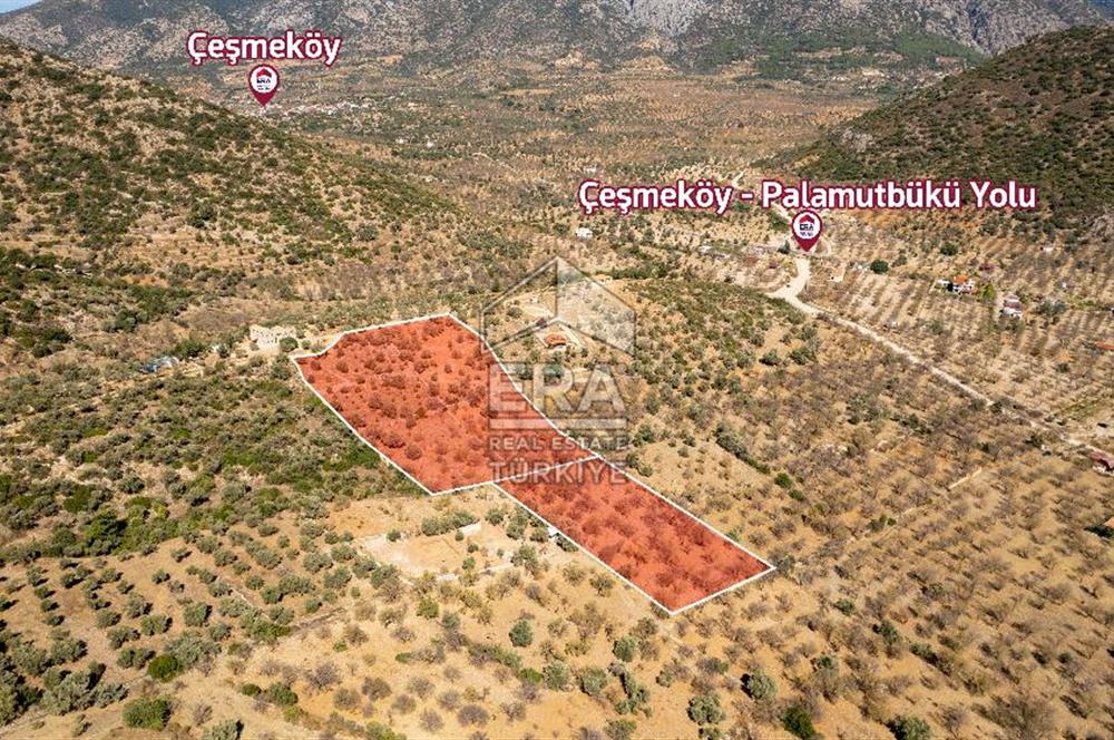  Datça Palamutbükü’nde 16.414 m2 Deniz Manzaralı İmarlı Arsa