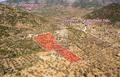  Datça Palamutbükü’nde 16.414 m2 Deniz Manzaralı İmarlı Arsa
