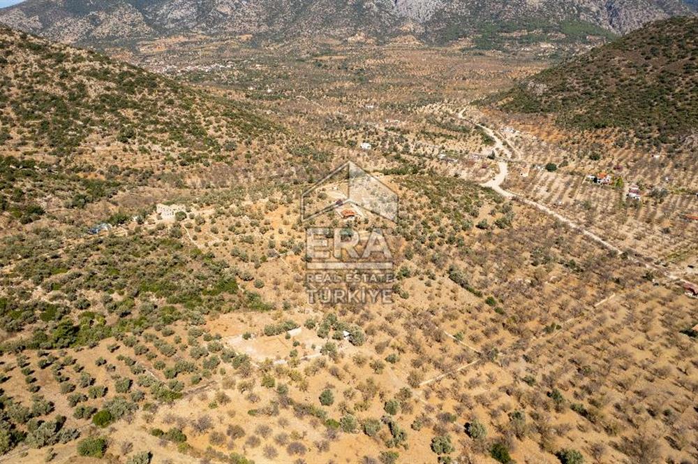  Datça Palamutbükü’nde 16.414 m2 Deniz Manzaralı İmarlı Arsa