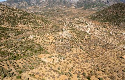  Datça Palamutbükü’nde 16.414 m2 Deniz Manzaralı İmarlı Arsa