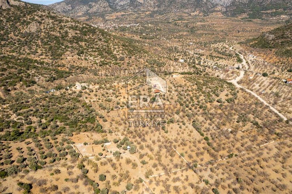  Datça Palamutbükü’nde 16.414 m2 Deniz Manzaralı İmarlı Arsa