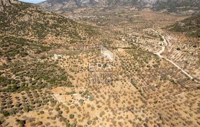  Datça Palamutbükü’nde 16.414 m2 Deniz Manzaralı İmarlı Arsa