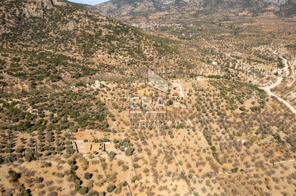  Datça Palamutbükü’nde 16.414 m2 Deniz Manzaralı İmarlı Arsa