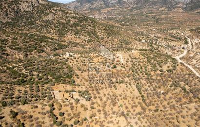  Datça Palamutbükü’nde 16.414 m2 Deniz Manzaralı İmarlı Arsa