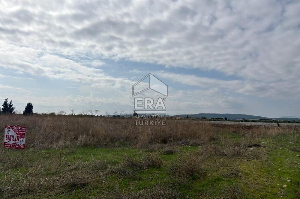 Menderes Oğlananasında 1/2 Hissesi 8764 m2 Satılık Arsa