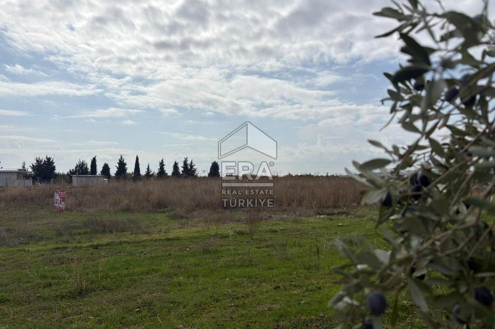 Menderes Oğlananasında 1/2 Hissesi 8764 m2 Satılık Arsa