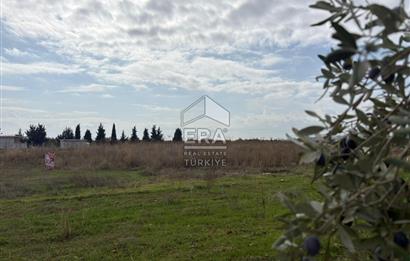 Menderes Oğlananasında 1/2 Hissesi 8764 m2 Satılık Arsa