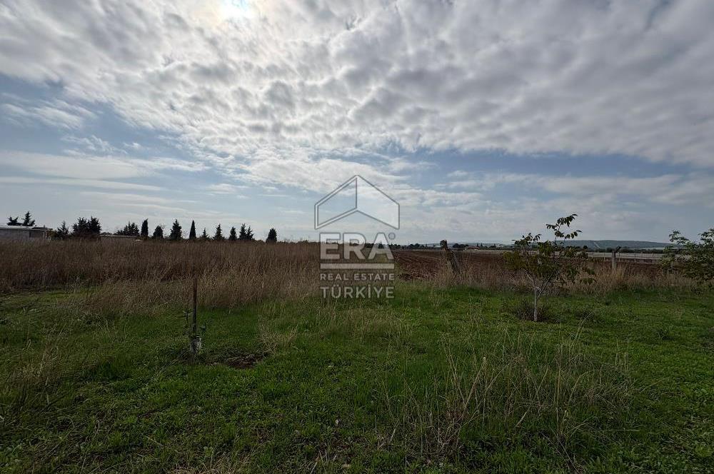 Menderes Oğlananasında 1/2 Hissesi 8764 m2 Satılık Arsa
