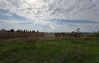 Menderes Oğlananasında 1/2 Hissesi 8764 m2 Satılık Arsa