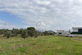 Menderes Oğlananasında 1/2 Hissesi 8764 m2 Satılık Arsa