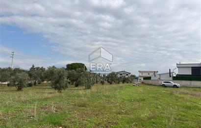 Menderes Oğlananasında 1/2 Hissesi 8764 m2 Satılık Arsa
