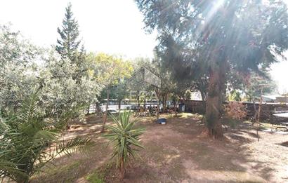 İzkent Mah. Cadde Üzerinde Satılık 3+1