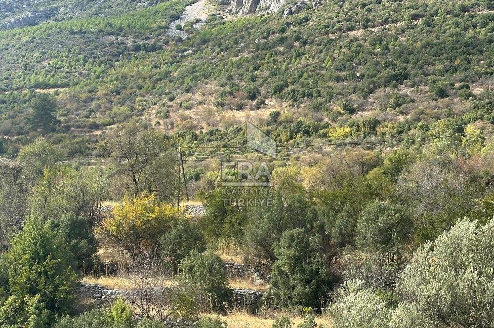 ANTALYA AKSEKİ AKŞAHAP MAHALLESİ SATILIK TEK TAPU TARLA
