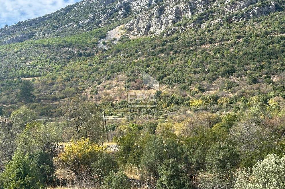 ANTALYA AKSEKİ AKŞAHAP MAHALLESİ SATILIK TEK TAPU TARLA