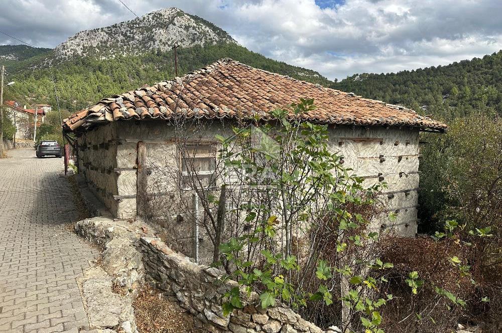 ANTALYA AKSEKİ AKŞAHAP KÖYÜ SATILIK DÜĞMELİ EV ve BAHÇE