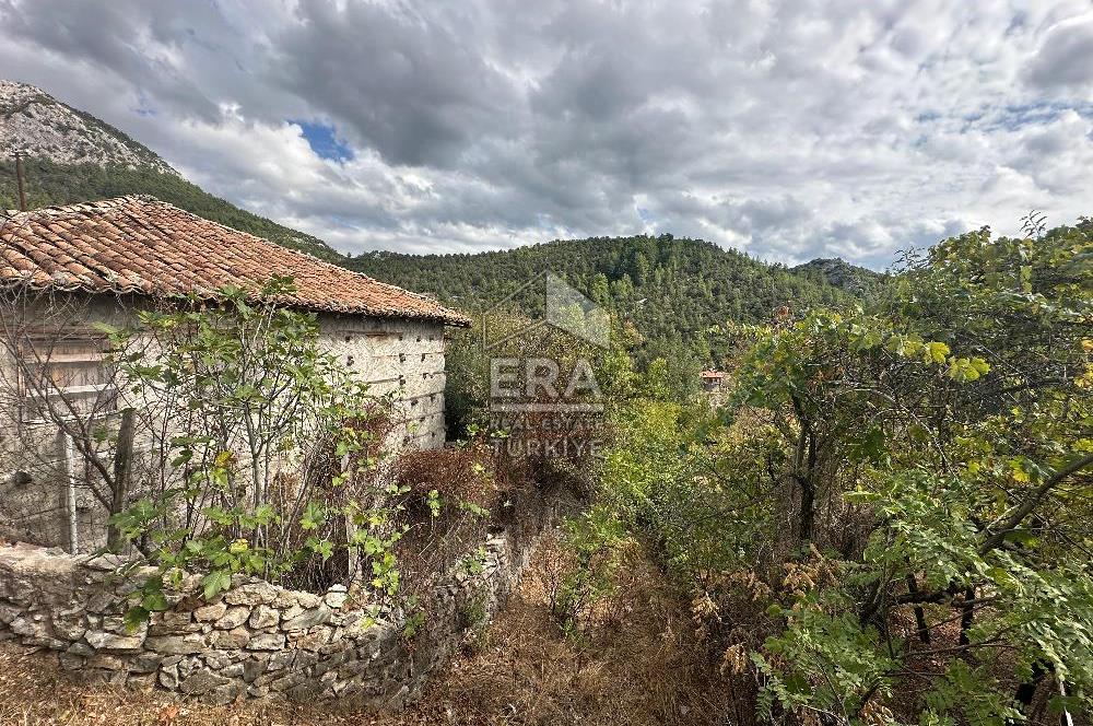 ANTALYA AKSEKİ AKŞAHAP KÖYÜ SATILIK DÜĞMELİ EV ve BAHÇE
