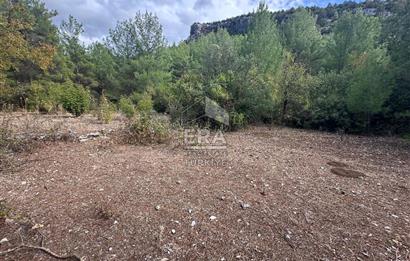 ANTALYA AKSEKİ AKŞAHAP MAHALLESİ SATILIK TEK TAPU TARLA