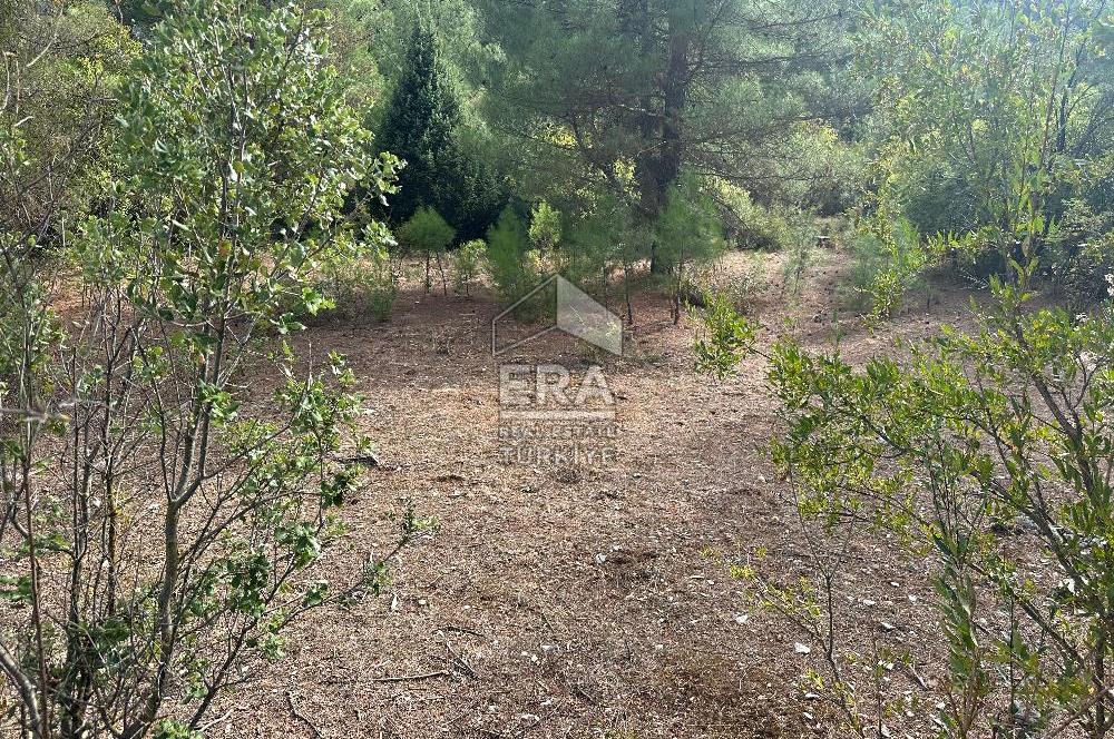 ANTALYA AKSEKİ AKŞAHAP MAHALLESİ SATILIK TEK TAPU TARLA