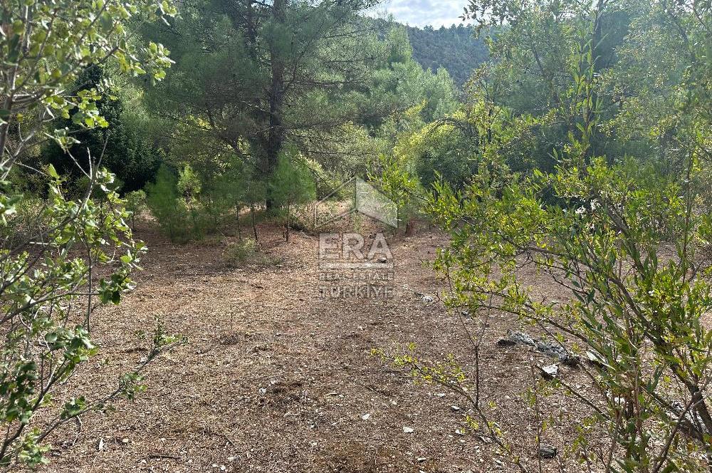 ANTALYA AKSEKİ AKŞAHAP MAHALLESİ SATILIK TEK TAPU TARLA