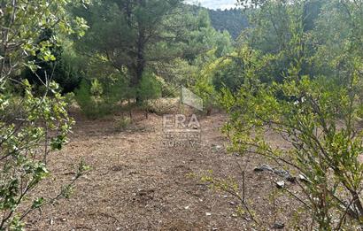 ANTALYA AKSEKİ AKŞAHAP MAHALLESİ SATILIK TEK TAPU TARLA