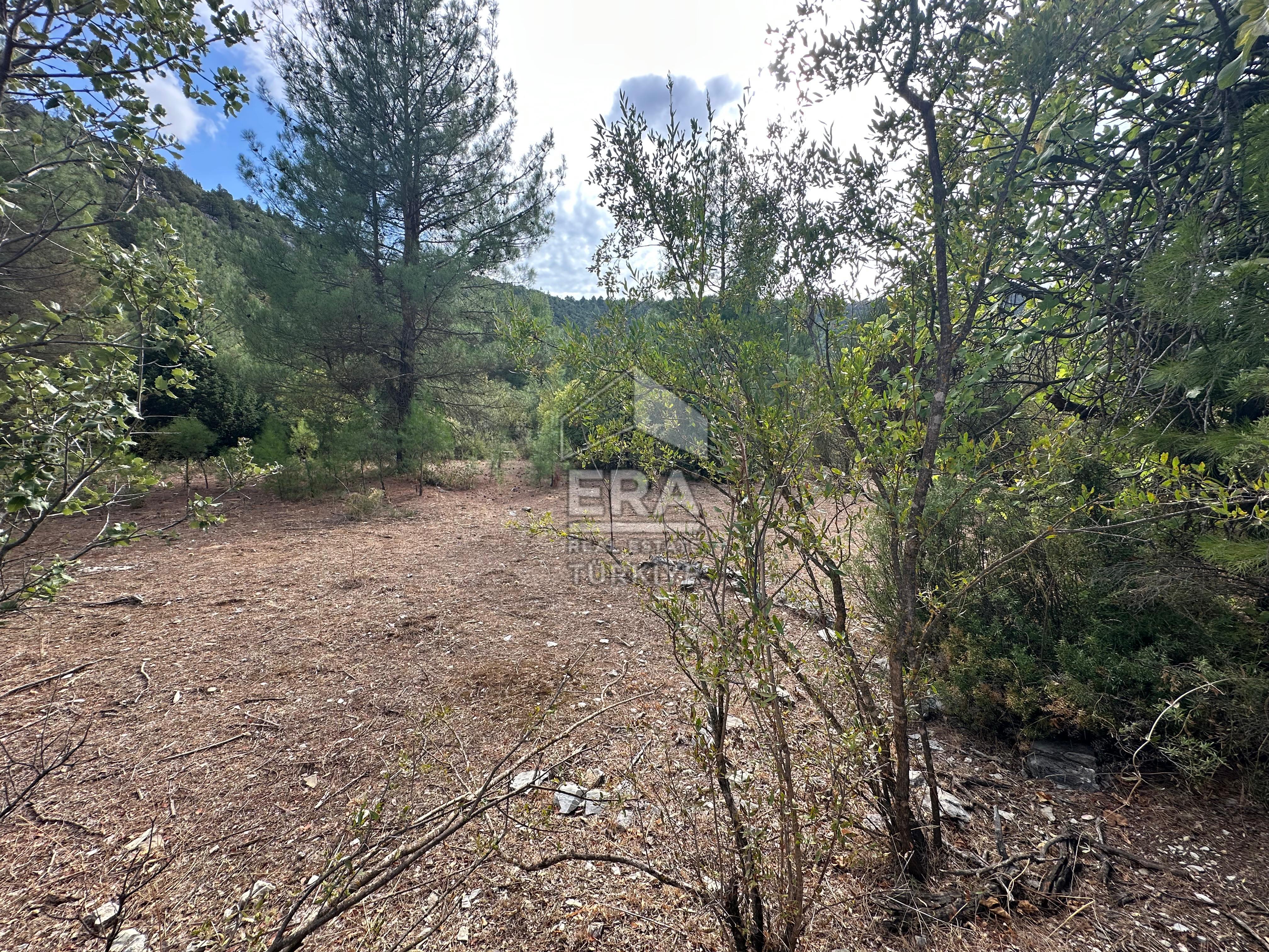 ANTALYA AKSEKİ AKŞAHAP MAHALLESİ SATILIK TEK TAPU TARLA