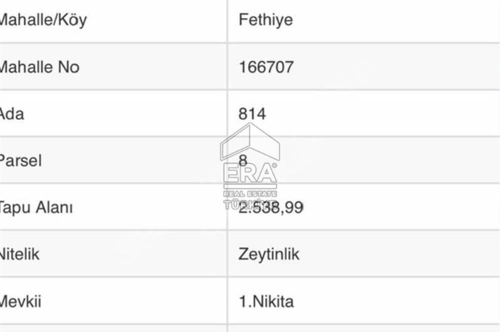 ERA Angel'dan Ayvalık Fethiye Mah. Satılık 25 Ağaçlık Zeytinlik