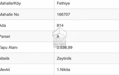 ERA Angel'dan Ayvalık Fethiye Mah. Satılık 25 Ağaçlık Zeytinlik