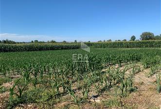 ERA KARAT’TAN SAKARYA FERİZLİ’DE  SATILIK 640 M2 TARLA - 1 - 13820