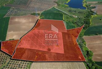 ERA SÖZ DEN, BURSA - KARACABEY - DAĞKADI MH. DE SATILIK 64802 M2 TARLA - 1 - 11668