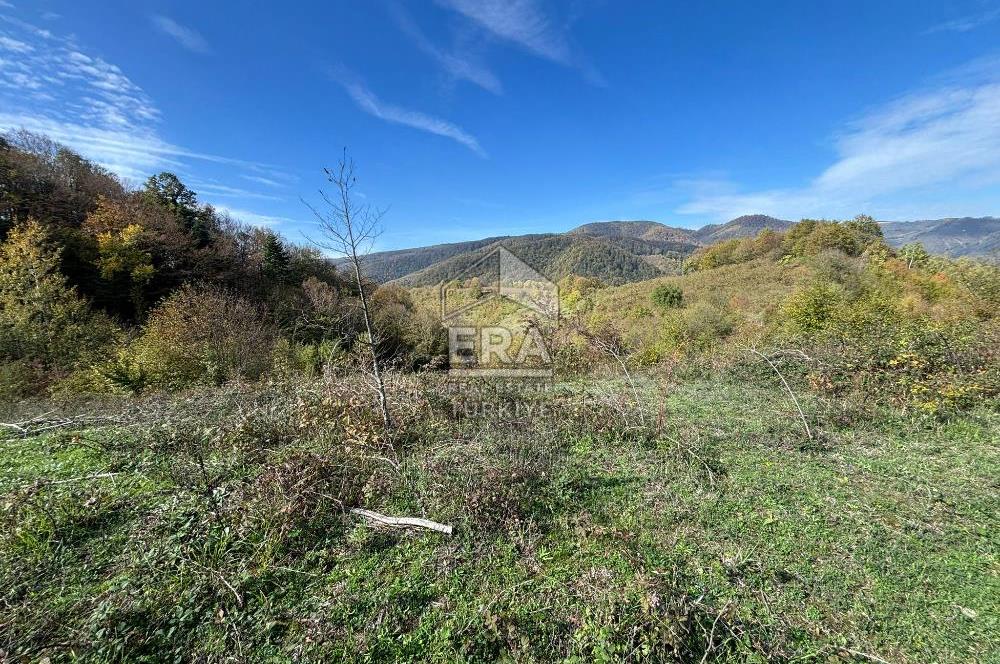 Sakarya Hendek Bıçkıatikte Ana Yola Yakın 19 Dönüm Tarla