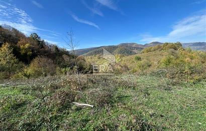 Sakarya Hendek Bıçkıatikte Ana Yola Yakın 19 Dönüm Tarla