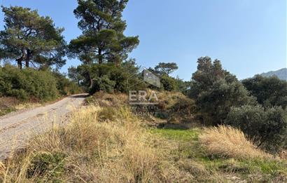 Kemalpaşa Armutlu'da Tek Tapu Satılık Tarla