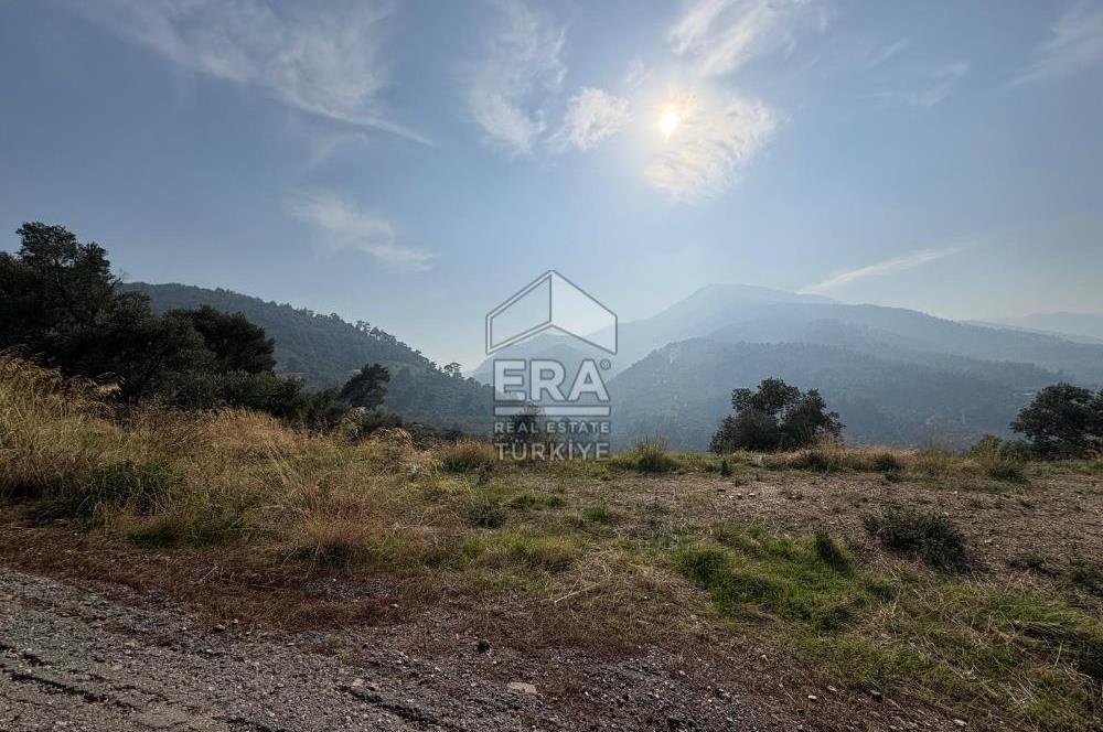 Kemalpaşa Armutlu'da Tek Tapu Satılık Tarla