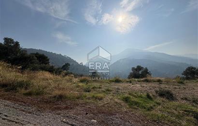 Kemalpaşa Armutlu'da Tek Tapu Satılık Tarla