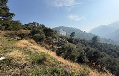 Kemalpaşa Armutlu'da Tek Tapu Satılık Tarla