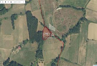 ÇANAKKALE YENİCE DE SATILIK TARLA