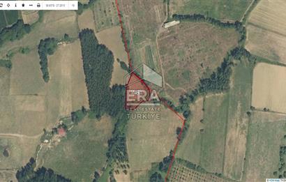 ÇANAKKALE YENİCE DE SATILIK TARLA